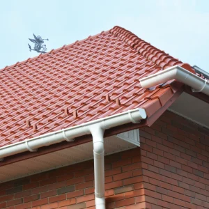 Gutter Services 2